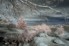 INFRARED_EL_CAPITAN_ALPINE_12_09_2018-65_FINAL_01