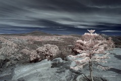 INFRARED_EL_CAPITAN_ALPINE_12_09_2018-72_FINAL_01