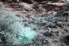 INFRARED_ANZA_BORREGO_NOV_02_2019_695-111_FINAL_03S