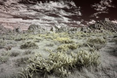 INFRARED_ANZA_BORREGO_NOV_02_2019_695-141_FINAL_08S