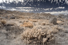 INFRARED_ANZA_BORREGO_NOV_02_2019_695-143_FINAL_06