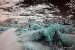 INFRARED_ANZA_BORREGO_NOV_02_2019_695-145_FINAL_03S