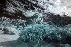 INFRARED_ANZA_BORREGO_NOV_02_2019_695-166_FINAL_03S