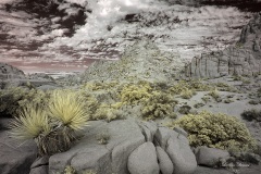 INFRARED_ANZA_BORREGO_NOV_02_2019_695-168_FINAL_08S