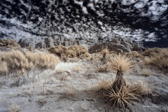 INFRARED_ANZA_BORREGO_NOV_02_2019_695-200_FINAL_06