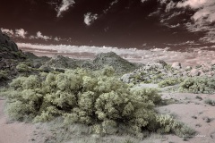 INFRARED_ANZA_BORREGO_NOV_02_2019_695-204_FINAL_08S