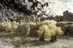 INFRARED_ANZA_BORREGO_NOV_02_2019_695-207_FINAL_08S