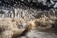 INFRARED_ANZA_BORREGO_NOV_02_2019_695-209_FINAL_06