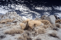 INFRARED_ANZA_BORREGO_NOV_02_2019_695-223_FINAL_06