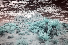 INFRARED_ANZA_BORREGO_NOV_02_2019_695-225_FINAL_03S