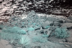 INFRARED_ANZA_BORREGO_NOV_02_2019_695-235_FINAL_03S