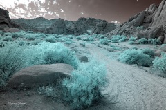 INFRARED_ANZA_BORREGO_NOV_02_2019_695-251_FINAL_03S