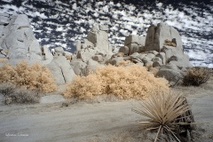 INFRARED_ANZA_BORREGO_NOV_02_2019_695-255_FINAL_06