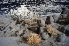 INFRARED_ANZA_BORREGO_NOV_02_2019_695-266_FINAL_06