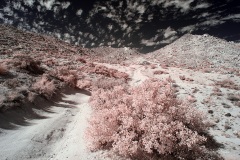 INFRARED_ANZA_BORREGO_NOV_02_2019_695-66_FINAL_10