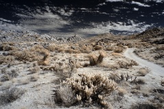 INFRARED_ANZA_BORREGO_NOV_02_2019_695-67_FINAL_06