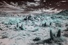 INFRARED_ANZA_BORREGO_NOV_02_2019_695-78_FINAL_03S