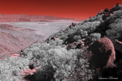 Anza-Borrego Desert, San Diego, California