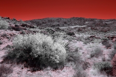 Anza-Borrego Desert, San Diego, California