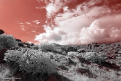 Anza-Borrego Desert, San Diego, California