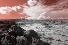 Anza-Borrego Desert, San Diego, California