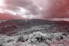 Anza-Borrego Desert, San Diego, California