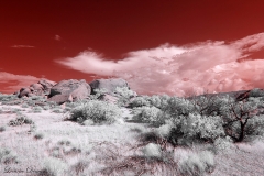 Anza-Borrego Desert, San Diego, California