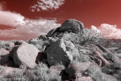 Anza-Borrego Desert, San Diego, California