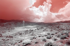 Anza-Borrego Desert, San Diego, California