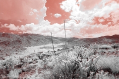 Anza-Borrego Desert, San Diego, California