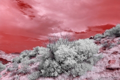 Anza-Borrego Desert, San Diego, California