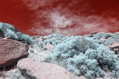 Anza-Borrego Desert, San Diego, California