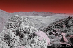 Anza-Borrego Desert, San Diego, California