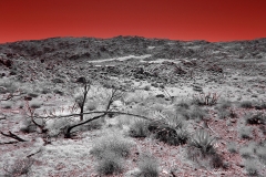 Anza-Borrego Desert, San Diego, California