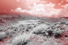 Anza-Borrego Desert, San Diego, California