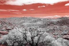 Anza-Borrego Desert, San Diego, California