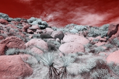 Anza-Borrego Desert, San Diego, California