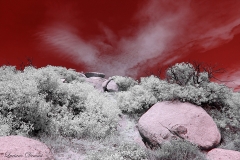 Anza-Borrego Desert, San Diego, California