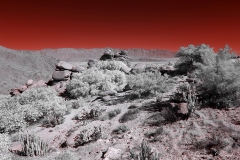 Anza-Borrego Desert, San Diego, California