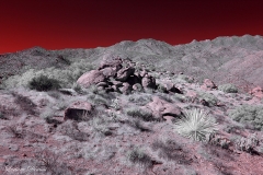 Anza-Borrego Desert, San Diego, California