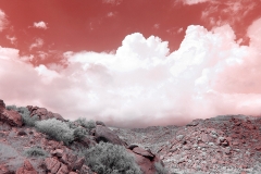 Anza-Borrego Desert, San Diego, California