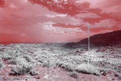 Anza-Borrego Desert, San Diego, California