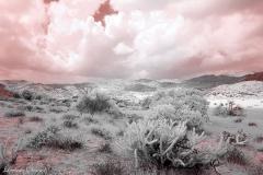 Anza-Borrego Desert, San Diego, California