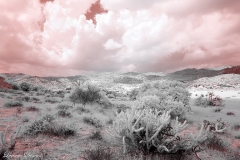 Anza-Borrego Desert, San Diego, California