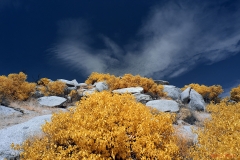 Anza-Borrego Desert, San Diego, California