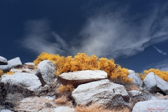 Anza-Borrego Desert, San Diego, California