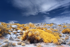 Anza-Borrego Desert, San Diego, California