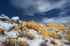 Anza-Borrego Desert, San Diego, California