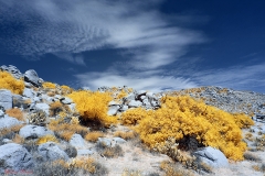 Anza-Borrego Desert, San Diego, California