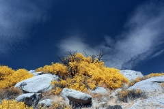 Anza-Borrego Desert, San Diego, California